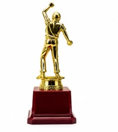 Cricket Bowling Trophy Gold Finish 20.5 cm YG-146