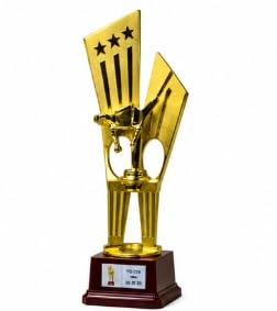 Karate Trophy Gold Finish Star Design Martial Arts Award 41 cm
