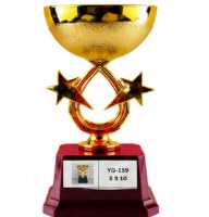 Gold Trophy Cup with Star Design, Pack of 12