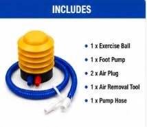 AL FALAH Anti-Burst Exercise Gym Ball with Foot Pump
