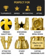 Volleyball Sports Trophy with Gold Finish, 27 cm