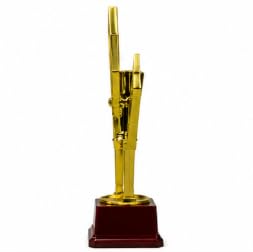 Karate Trophy Gold Finish Star Design Martial Arts Award 41 cm