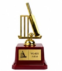 Cricket Trophy Award with Wooden Base 16 cm Gold Finish