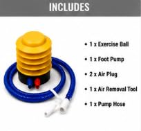 AL FALAH Anti-Burst Exercise Gym Ball with Foot Pump