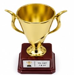 Open Cup Trophy Gold Finish with Red Base YG-157, 19 cm
