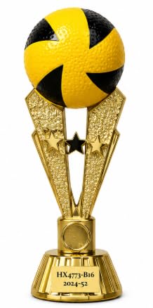 Volleyball Sports Trophy with Gold Finish, 27 cm