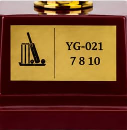 Cricket Trophy Award with Wooden Base 16 cm Gold Finish