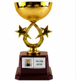 Gold Trophy Cup with Star Design, Pack of 12