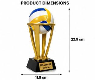 Volleyball Trophy Award with Engraved Base, Gold and Black