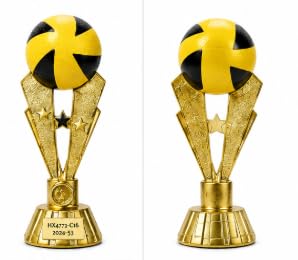 Volleyball Sports Trophy with Gold Finish, 27 cm