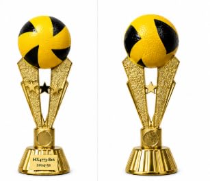 Volleyball Sports Trophy with Gold Finish, 27 cm
