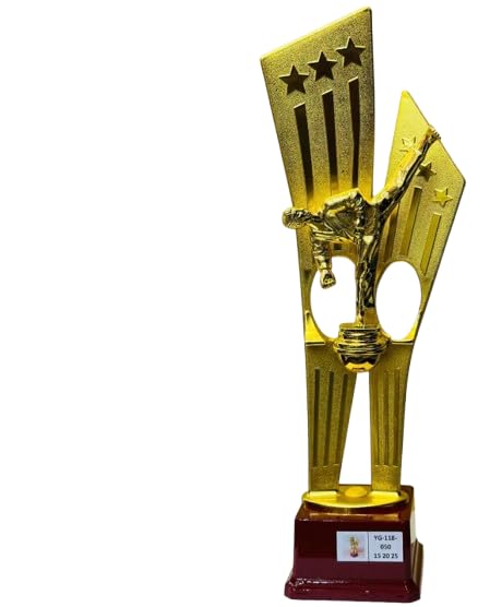 Karate Trophy Gold Finish Star Design Martial Arts Award 41 cm