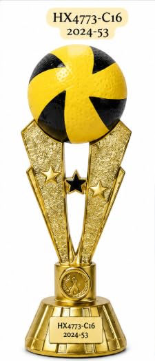 Volleyball Sports Trophy with Gold Finish, 27 cm