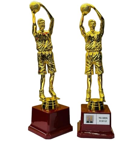 Basketball Trophy Award 27 cm Gold Finish with Wooden Base