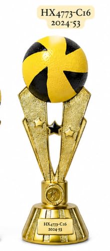Volleyball Sports Trophy with Gold Finish, 27 cm