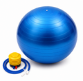 AL FALAH Exercise Gym Ball with Air Pump – Multiple Colors