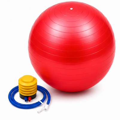 AL FALAH Exercise Gym Ball with Air Pump – Multiple Colors